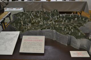 坂浜地域の地形模型