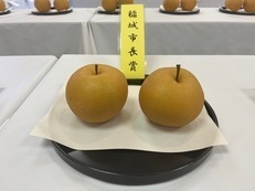 稲城市長賞