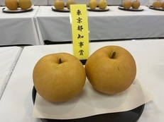 東京都知事賞