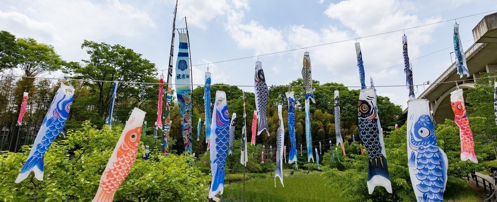 写真：上谷戸親水公園のこいのぼり