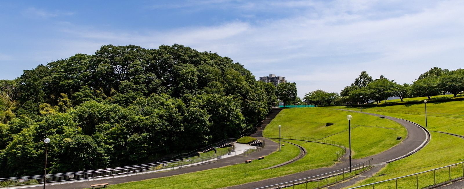 写真：夏の若葉台公園