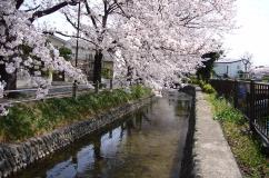 写真:大丸親水公園