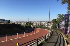 写真:よみうりV通りからの景色
