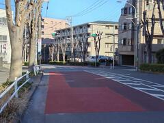 写真：横断路信号機