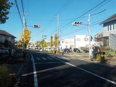 写真：河原方児童公園入口横断路信号機