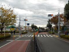 写真：若葉台二丁目西横断路信号機