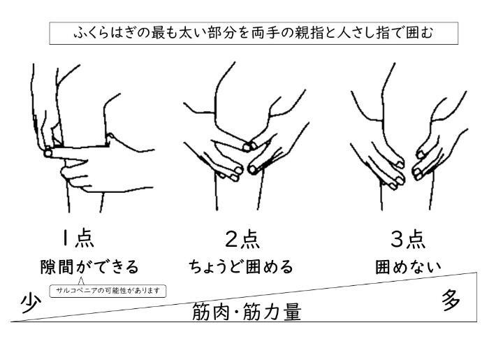イラスト：指輪っかテスト（ふくらはぎの最も太い部分を両手の親指と人さし指で囲む）