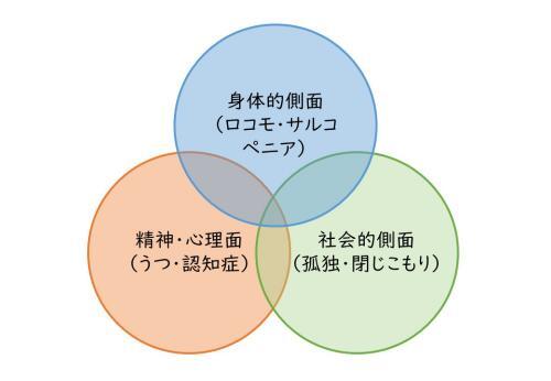 イラスト：身体的側面（ロコモ・サルコペニア）、精神・心理面（うつ・認知症）、社会的側面（孤独・閉じこもり）