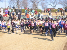 写真：市民ロードレース大会の様子