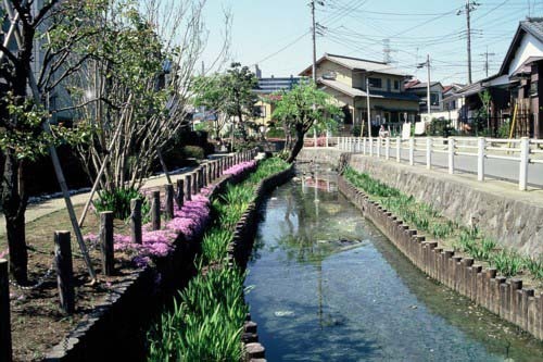 写真：東長沼付近の大丸用水