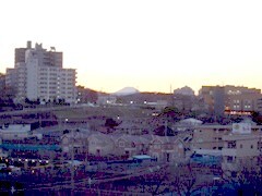 写真:会議室からの見える風景