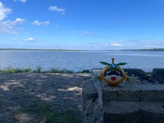 写真:網走湖の湖畔
