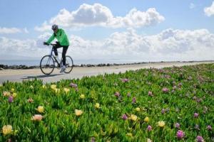 写真:サイクリング