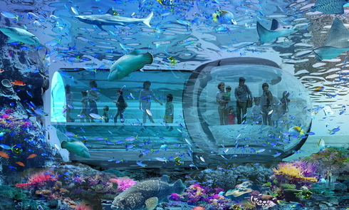水族館イメージ画像