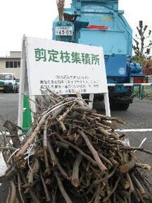 写真_剪定枝集積会場の様子