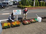写真：花いっぱい運動1