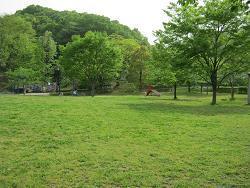 写真:大丸公園1