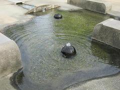 写真:大丸公園4