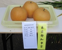 令和6年度 果実の部　都知事賞