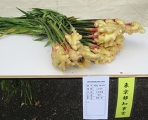 令和6年度 野菜の部 都知事賞