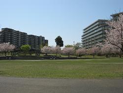 写真:遊具1