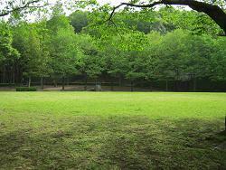 写真:城山公園4