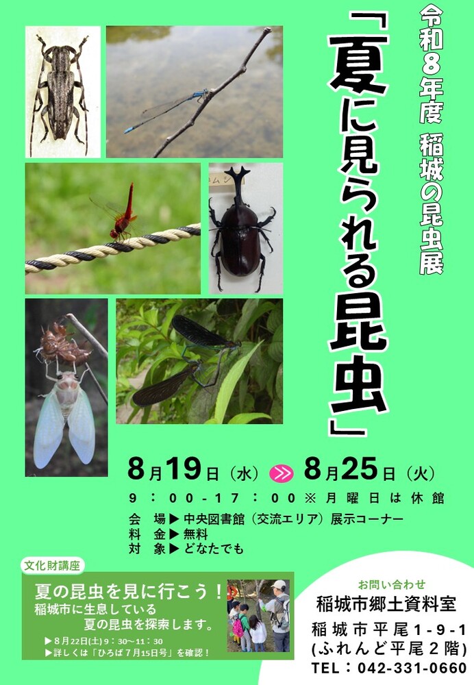 夏の昆虫展(チラシ)