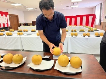审查会的情况