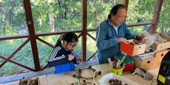 稻城交流森林 森林的宝箱