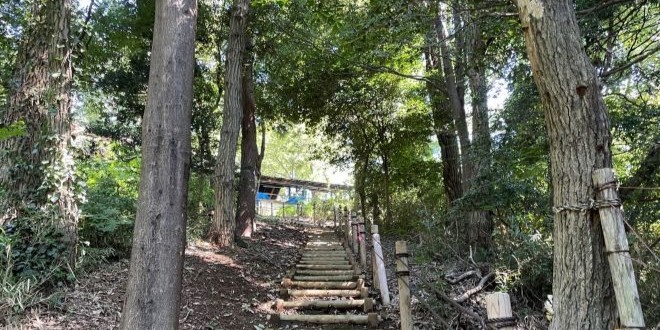 正在招募注册管理员（稻城交流森林）