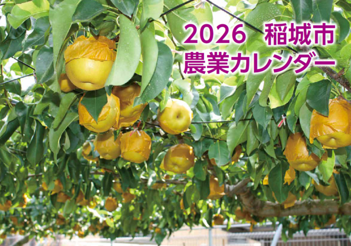 照片:农业日历封面