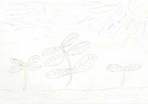 照片:応募绘画26
