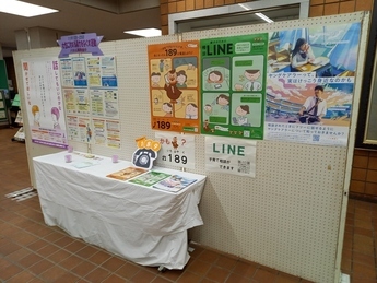 照片:"消除对女性暴力运动"展板展