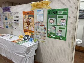 照片：面板全景图