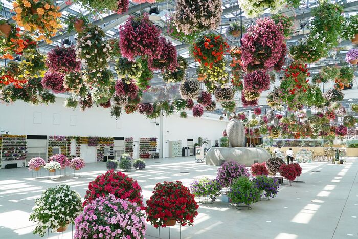 烟花日馆内全景图像