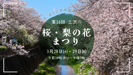 ALT: Photo of Misawa River Sakura Corridor