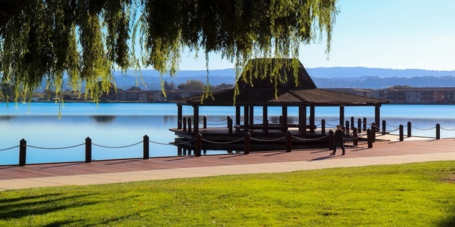 Foster City Urban Landscape