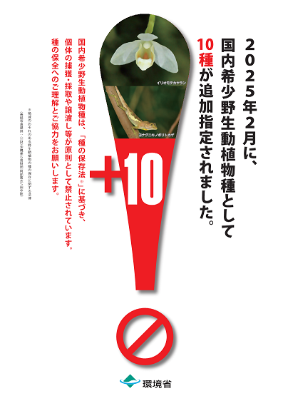 Photo: Cover of the brochure on rare domestic wild flora and fauna