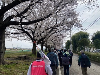Photo: A view of the walking around the area