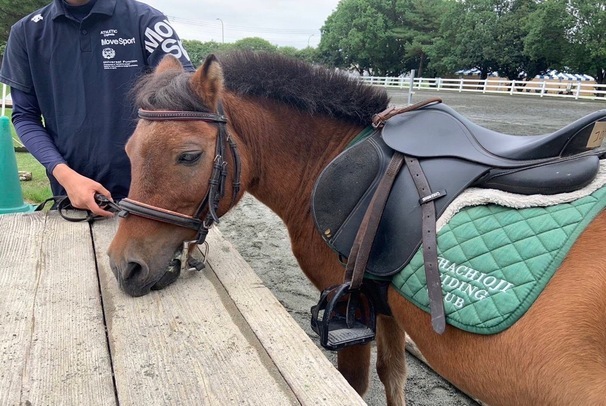 Pony Rides at the 42nd Event