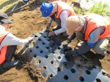 Planting 2