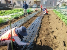 Planting 1