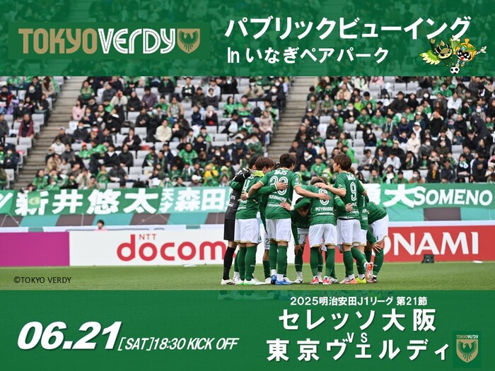 Image Public Viewing Flyer