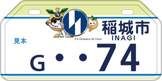 License Plate White (Large)