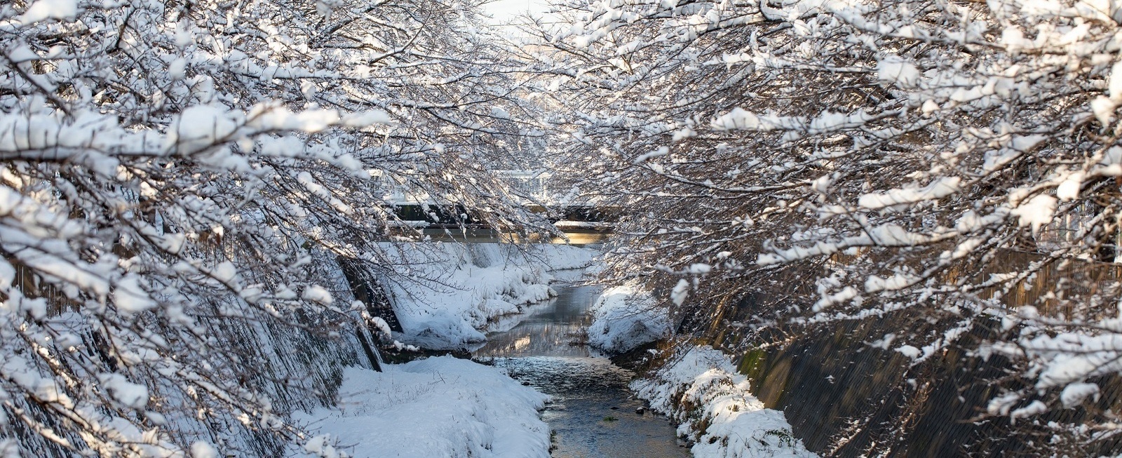 Foto: Río Misawa cubierto de nieve
