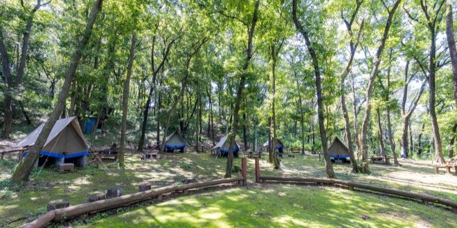Apertura de escuelas y distritos (Bosque de Interacción de Inagi)