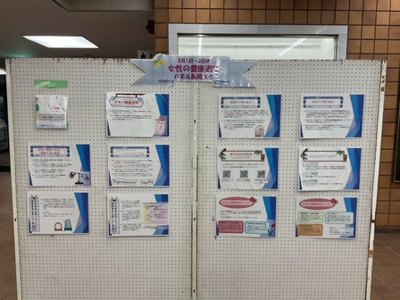 Foto: Exposición de paneles de la "Semana de la Salud de la Mujer"