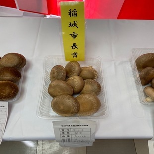 Premio del Alcalde - Shiitake