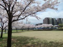 Parque Wakabadai