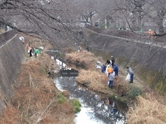 Foto: Limpieza del Río Misawa 4